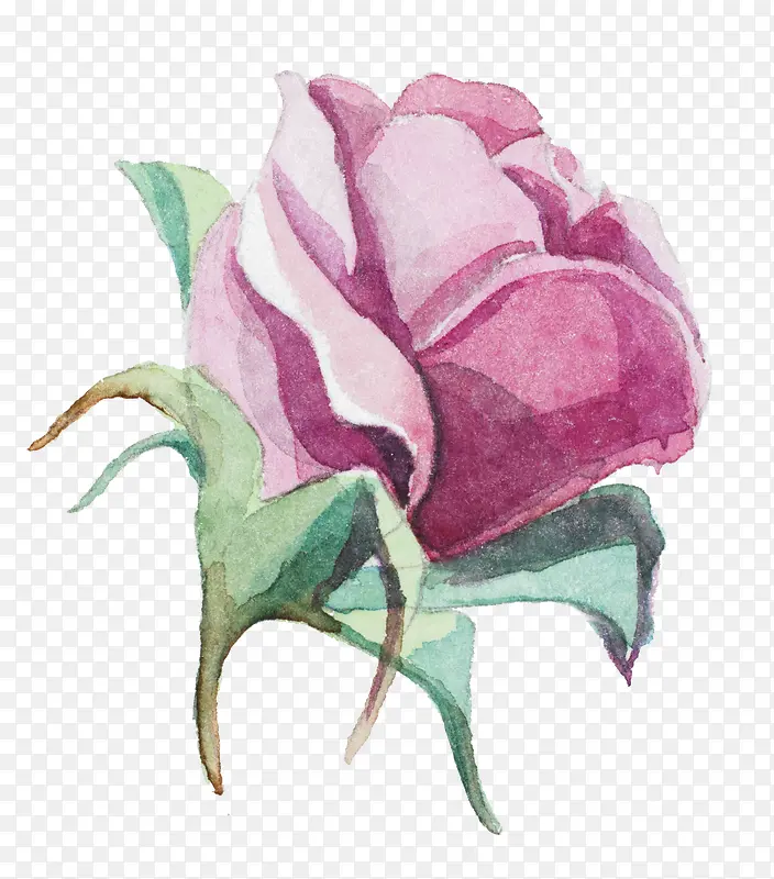 手绘花朵