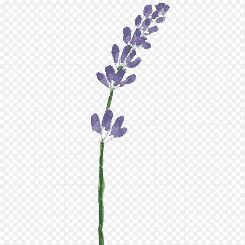 手绘紫色花