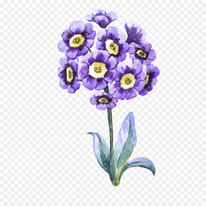 紫色手绘花