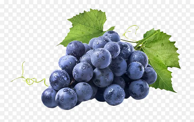 新鲜的紫色葡萄水果