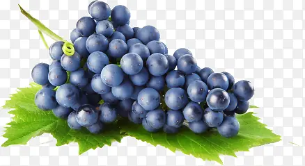 紫色新鲜水果葡萄