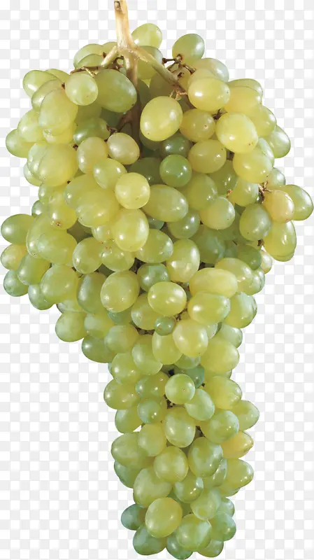 一串葡萄绿葡萄水果