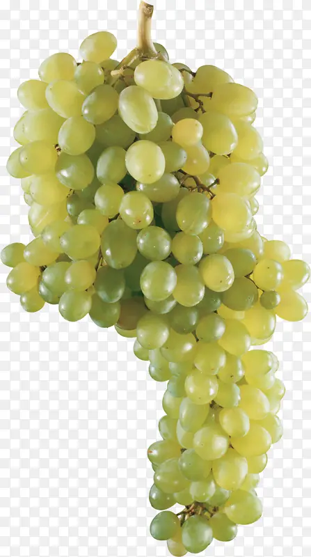 一串葡萄绿葡萄新鲜葡萄