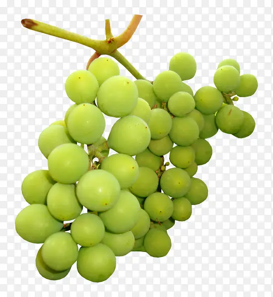 绿色葡萄一串葡萄