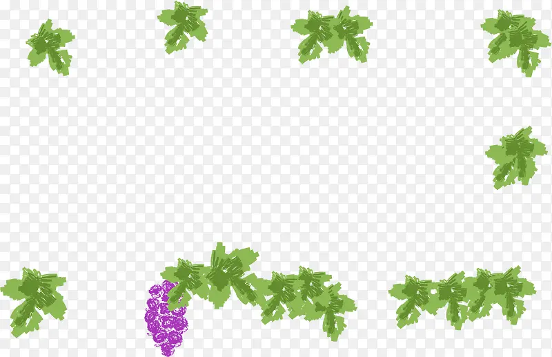 手绘绿色植物葡萄叶