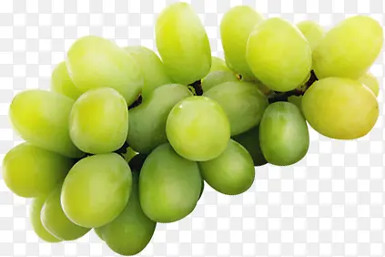 绿色葡萄素材