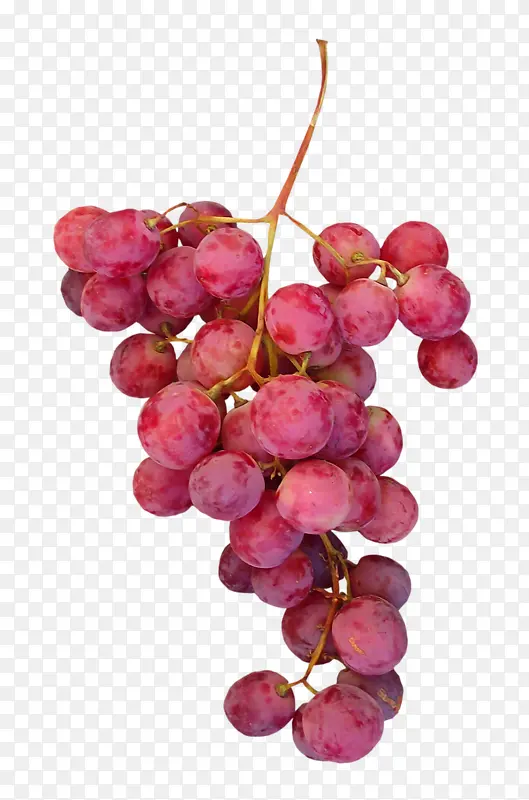 红色葡萄一串葡萄