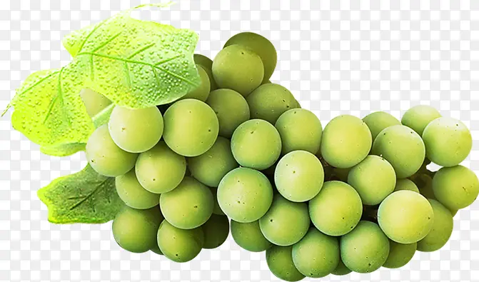 绿色清新绿叶葡萄