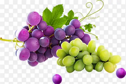 青葡萄紫色葡萄水果新鲜