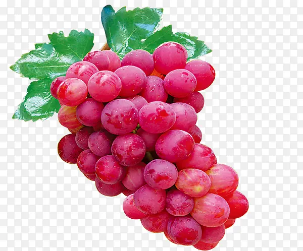 红葡萄