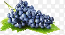 新鲜葡萄水果营养