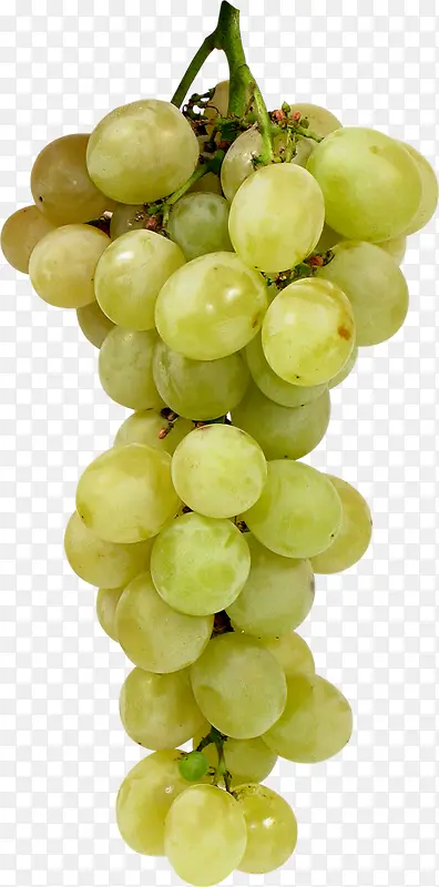 一串葡萄绿色葡萄