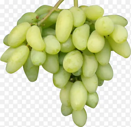 成熟特产葡萄水果