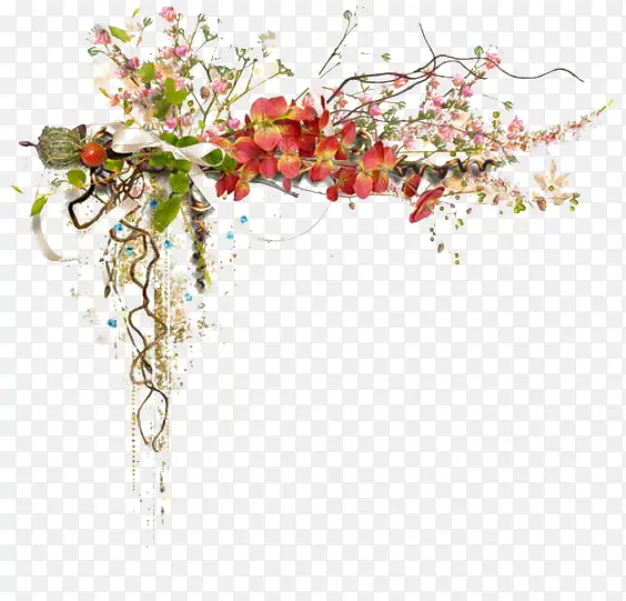 花朵边框