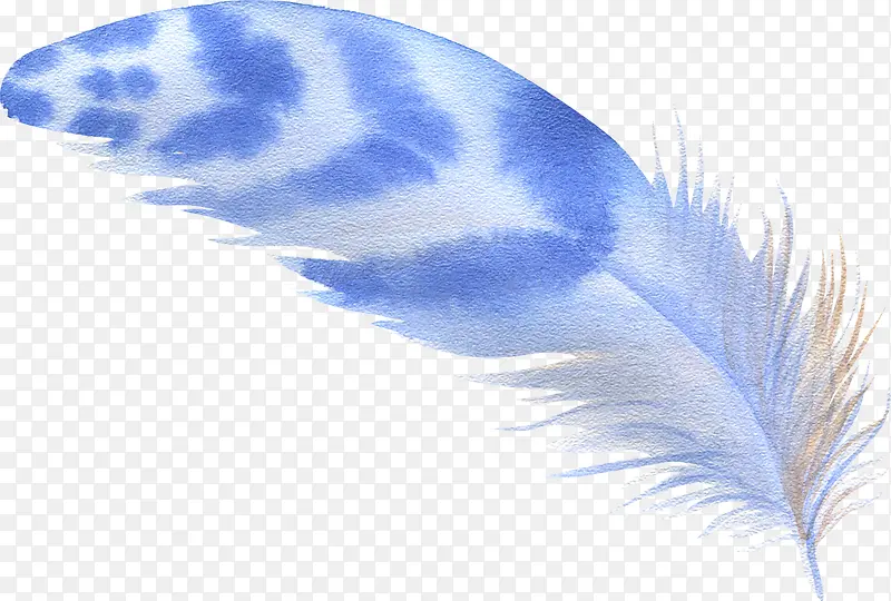 漂浮羽毛