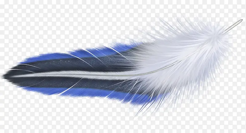 手绘蓝色分层创意羽毛