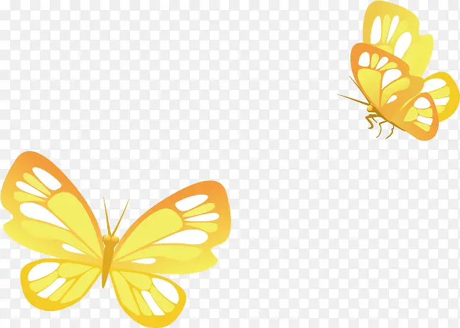 两个金色蝴蝶卡通图案