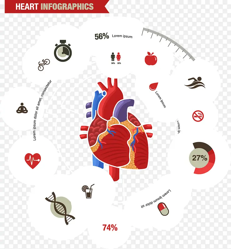 心脏信息数据图