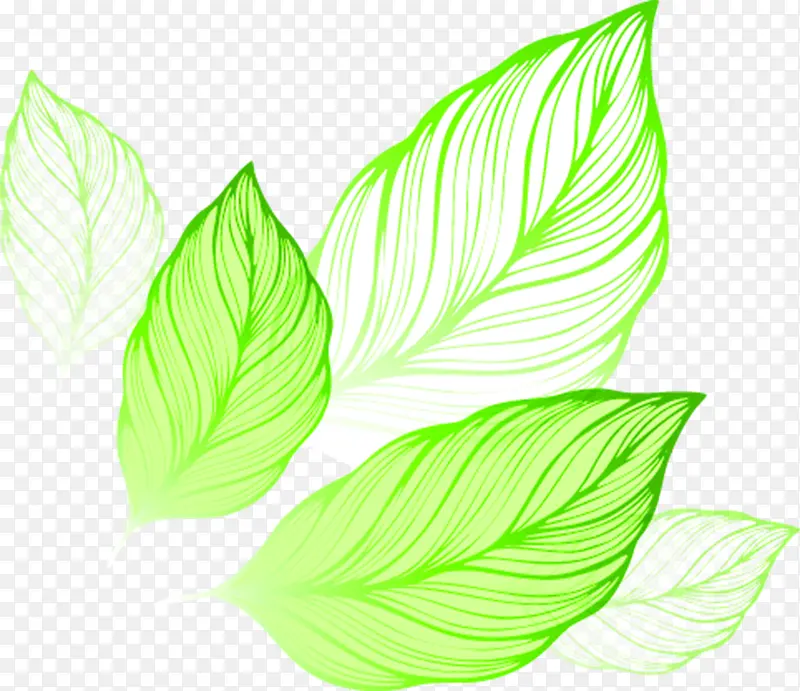 绿色清新创意树叶装饰
