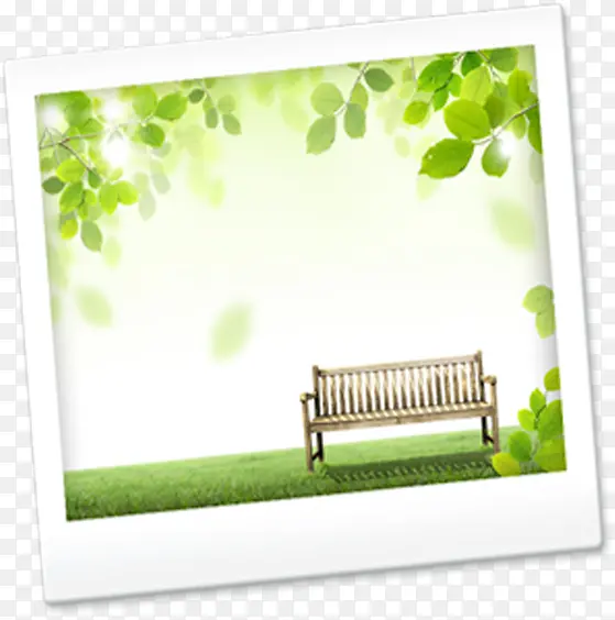 绿色清新树叶长椅美景