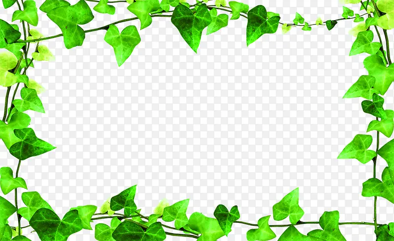 绿色清新环保树叶边框