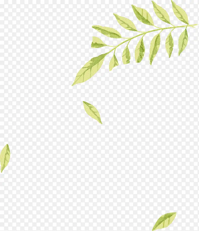 手绘绿色清新树叶落叶装饰
