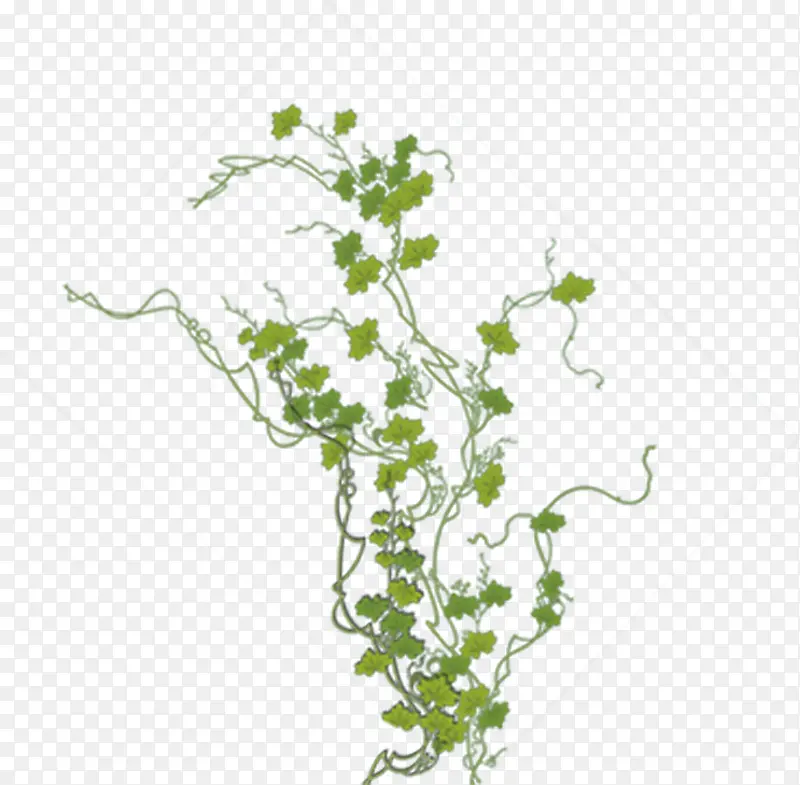 绿色清新树叶植物PNG图片素材下载_图片编号ykepljmg-免抠素材网
