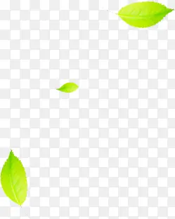 清新树叶绿色装饰海报