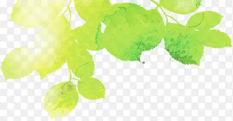 手绘清新春日树叶美景PNG图片素材下载_图片编号qzkoxpxx-免抠素材网