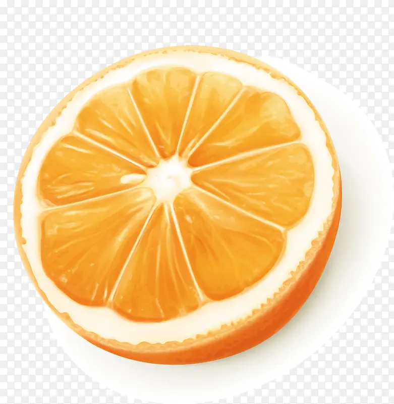 橙子装饰矢量