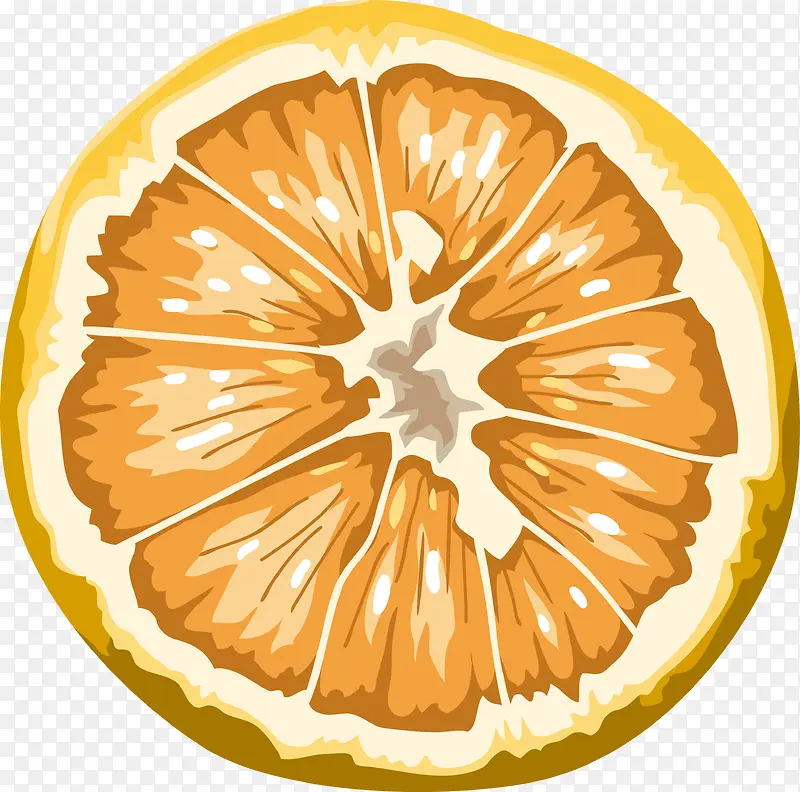 水彩切开橙子