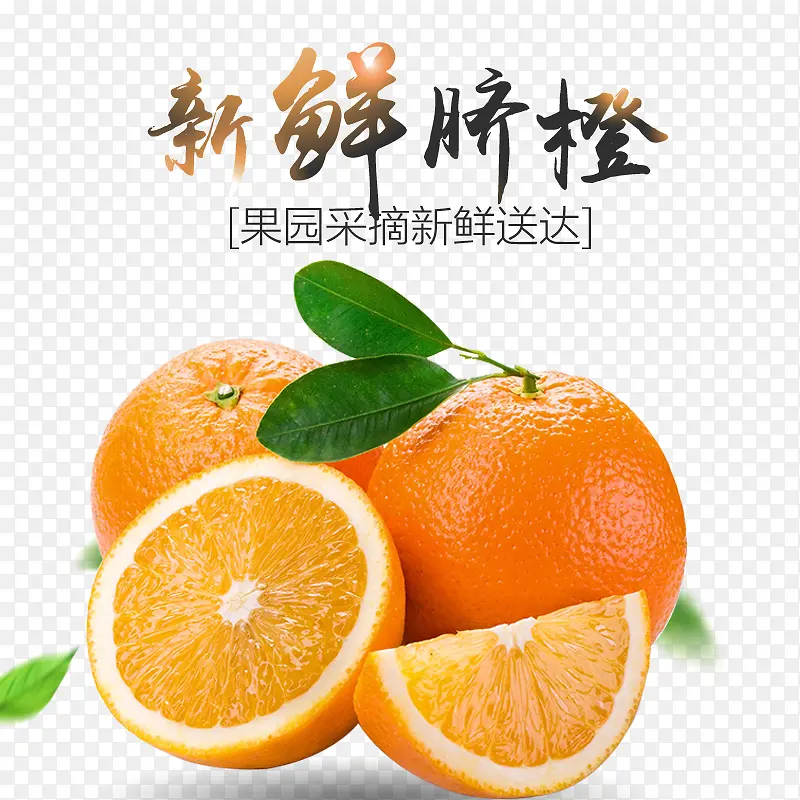 水果橙子新鲜脐橙