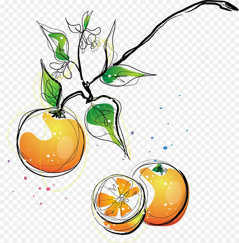 卡通手绘橙子