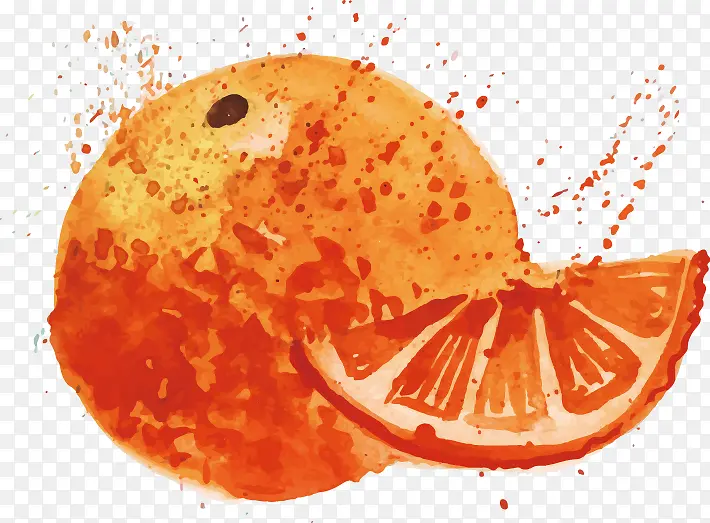 矢量手绘水彩橙子