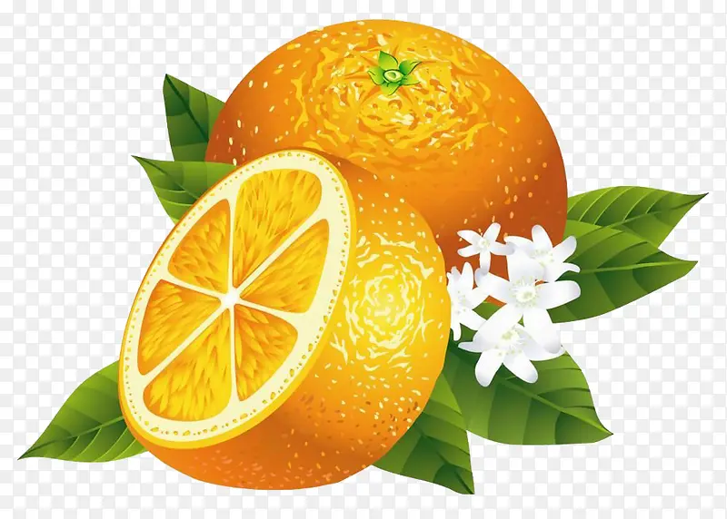 高清橙子图案