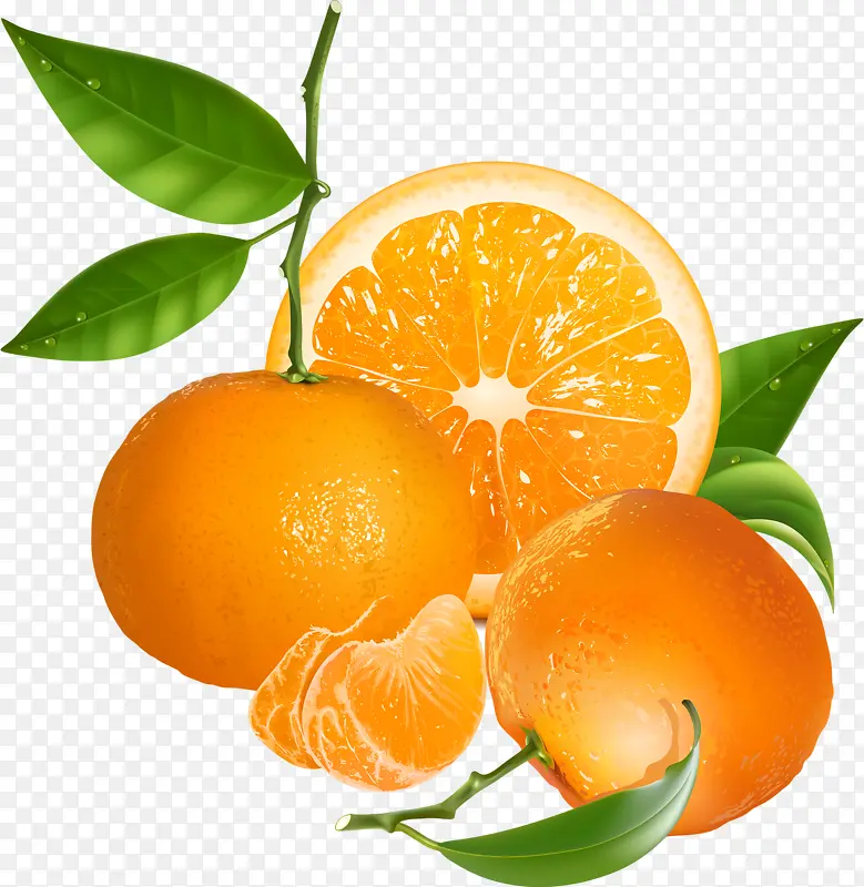 新鲜的橙子素材
