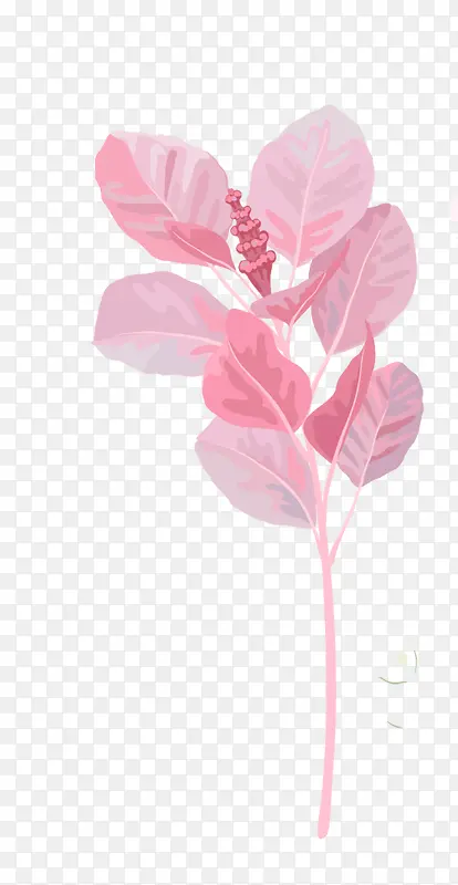 手绘植物PNG图片素材下载_图片编号qzkoeapk-免抠素材网