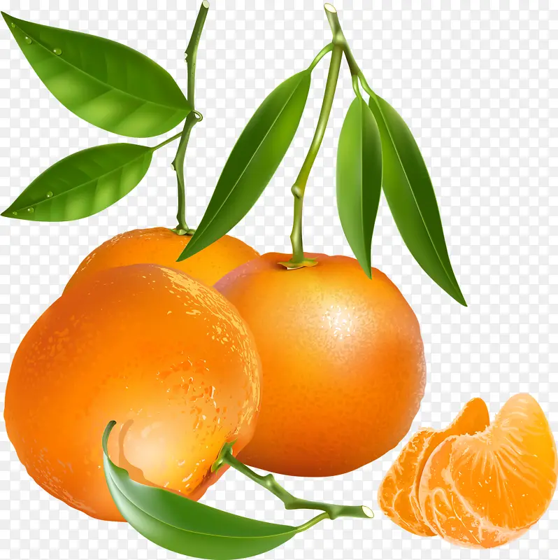 绿叶新鲜橙子素材