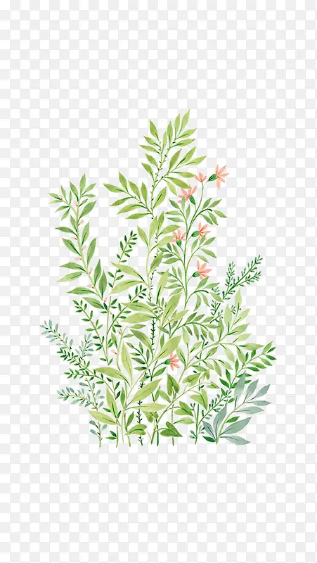 手绘植物PNG图片素材下载_图片编号yvvmgjzp-免抠素材网