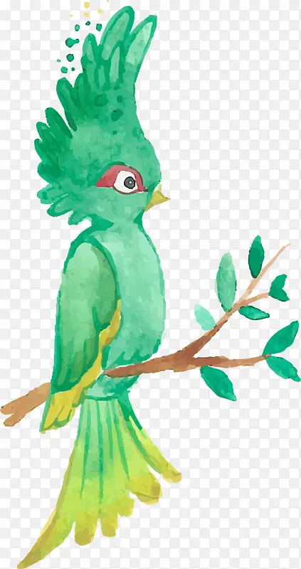水彩动物绿色鹦鹉