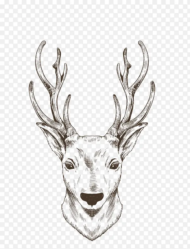 手绘线条绘画动物麋鹿