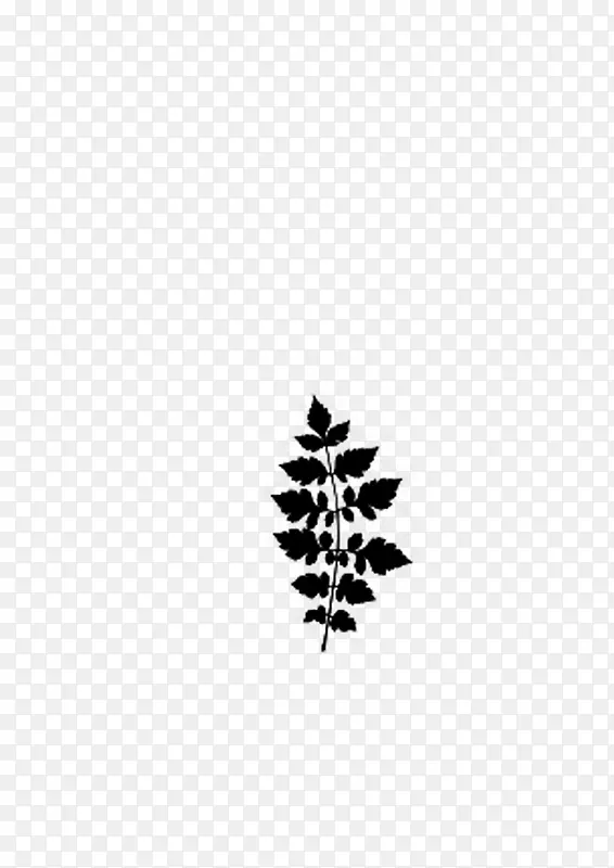 绘画植物 叶子 黑白