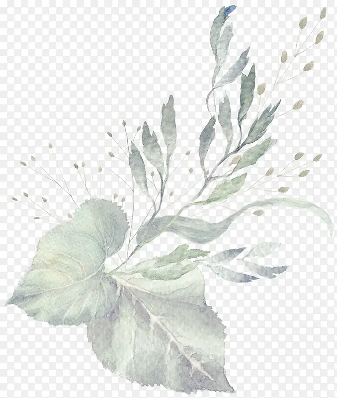 手绘植物PNG图片素材下载_图片编号qzkoeakn-免抠素材网