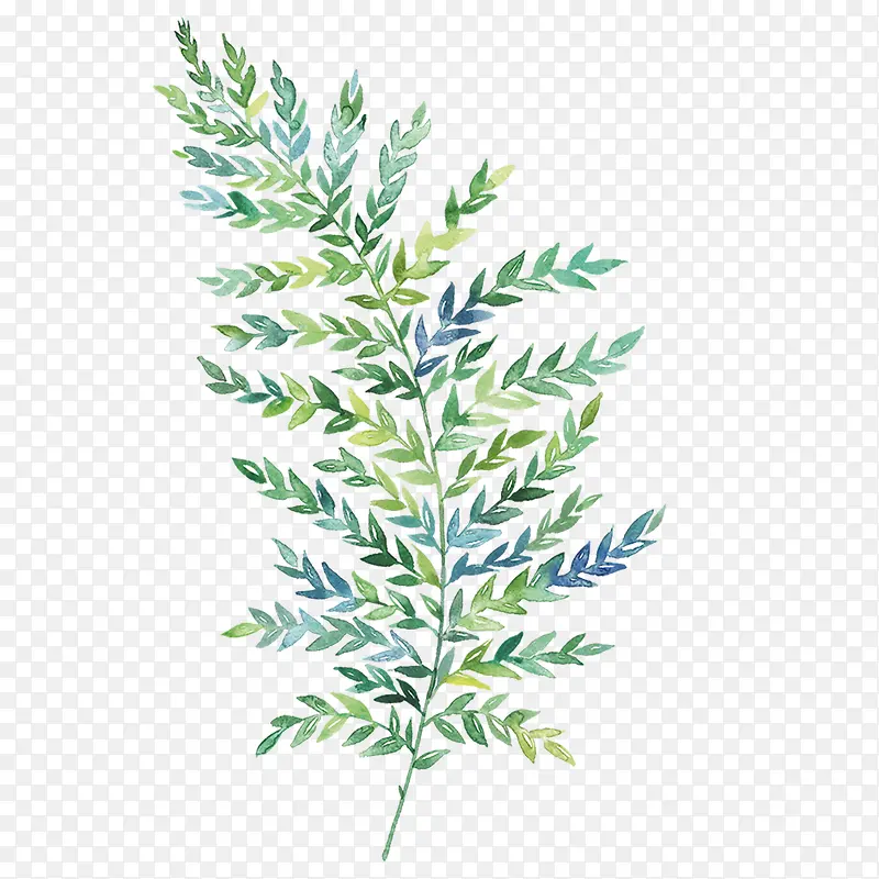 手绘植物PNG图片素材下载_图片编号qdxonlpm-免抠素材网
