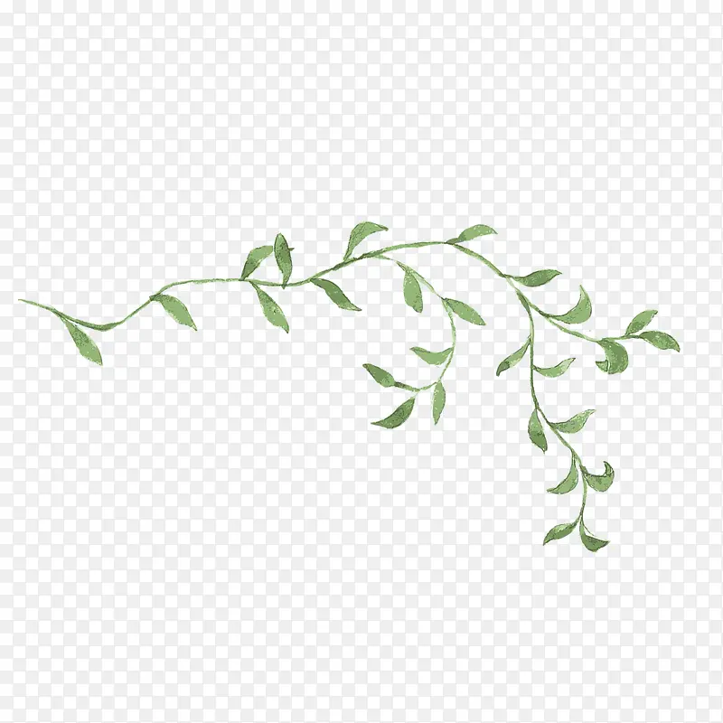 手绘植物PNG图片素材下载_图片编号ygelpxbb-免抠素材网
