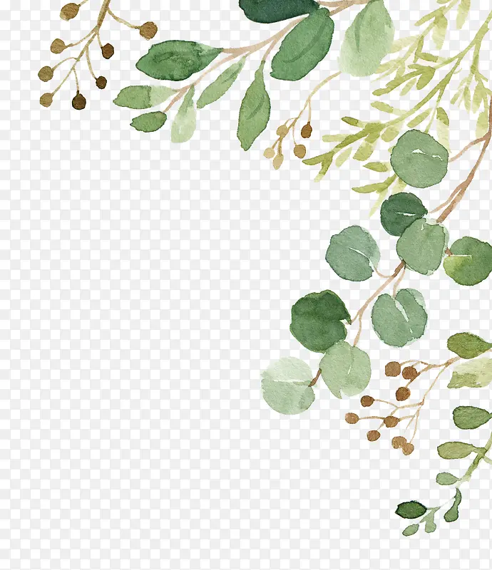 手绘植物PNG图片素材下载_图片编号ykeplrwz-免抠素材网