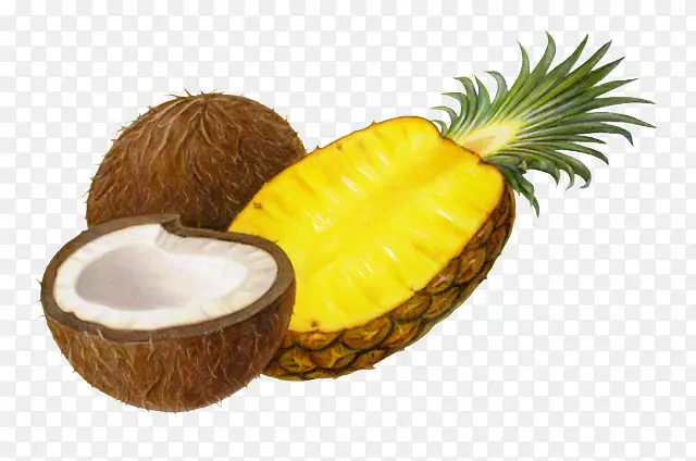 菠萝椰子