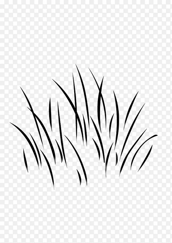 绘画植物 小草  黑白