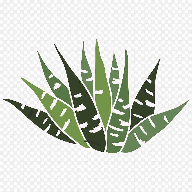 手绘植物PNG图片素材下载_图片编号yvvmgxzr-免抠素材网