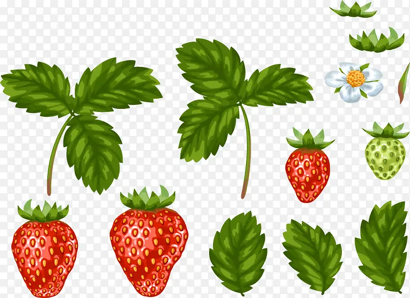 手绘带叶草莓